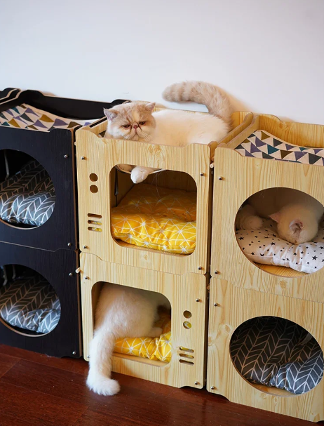 Comprehensive Review of the Wooden Cat House: Comfort, Design, and Durability Insights