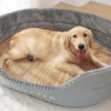 New Large Pet Bed with Warm Dot Pattern