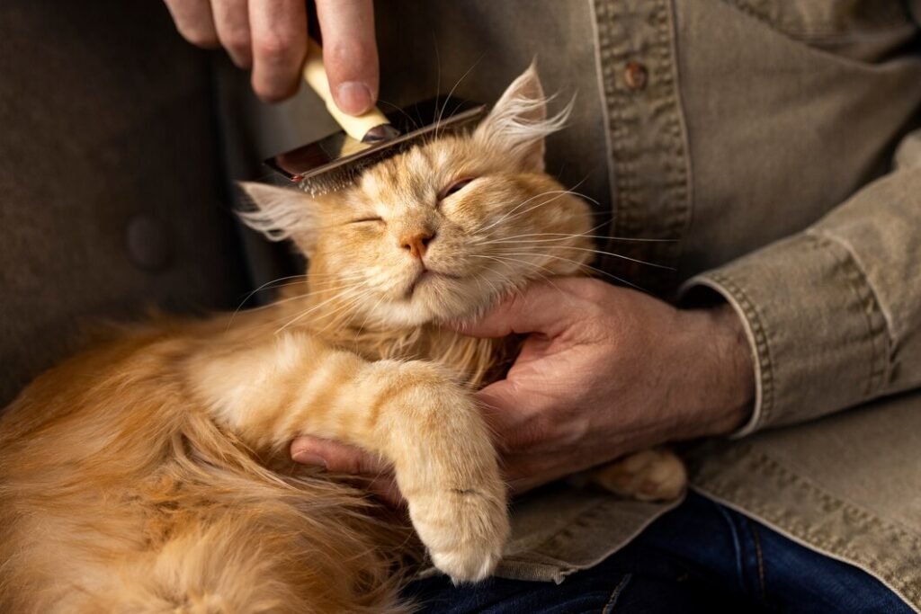 Grooming requirements vary widely among cat breeds