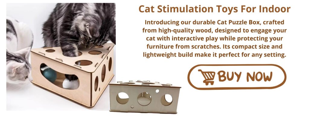 Cat Stimulation Toys For Indoor