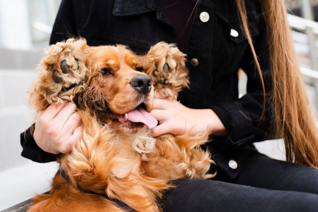 These dogs are naturally social and enjoy the company of people and other animals.