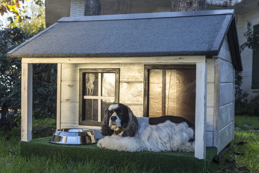 Kennels typically provide basic outdoor playtime and exercise but may not have the same level of structured activities or social interactions.