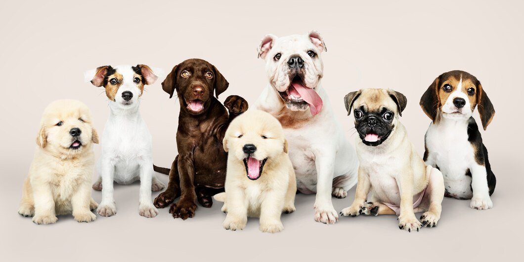  All Kinds of Dogs: A Comprehensive Guide to Canine Diversity