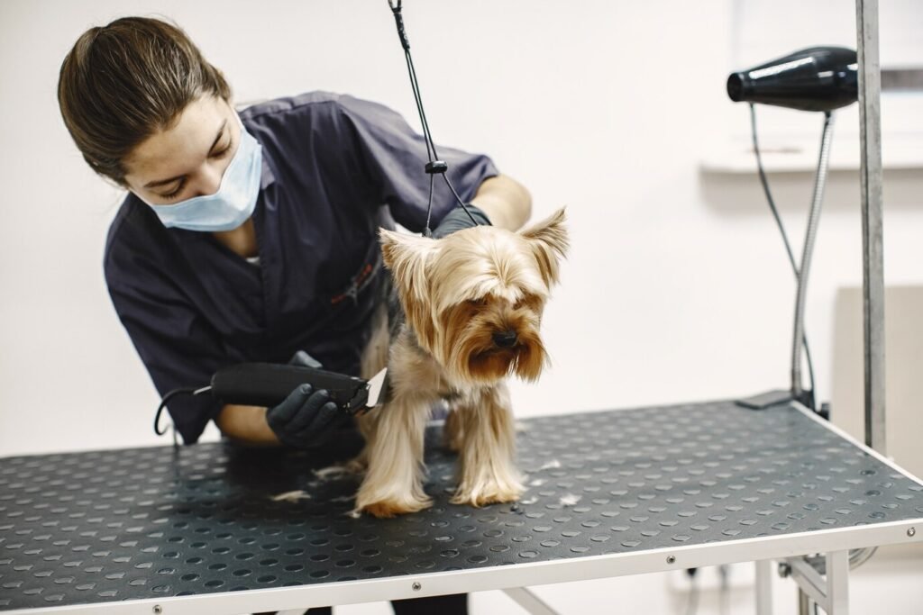 Mobile groomers offer a comprehensive range of services similar to those available in traditional grooming salons.