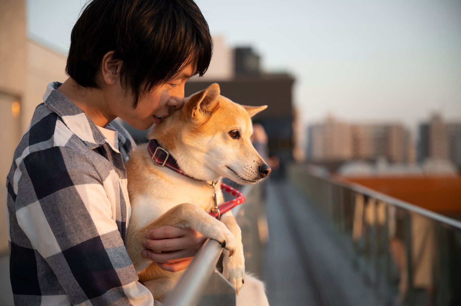 The Ultimate Guide to Dog Ownership: Bonding, Enrichment, and Care Tips